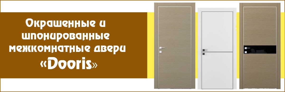 Купить красивые крашенные двери Дорис Купить красивые крашенные двери Дорис
