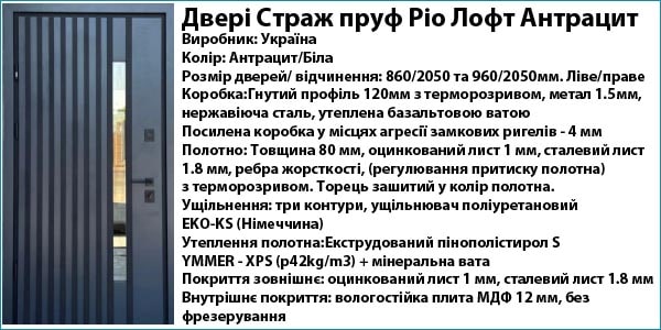Двери Страж пруф Рио Лофт Антрацит